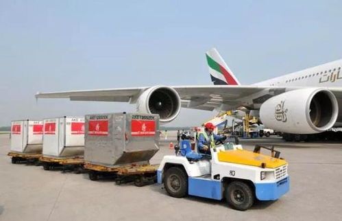 為什么飛機(jī)起飛還有40分鐘,就不讓登機(jī)了 看完漲知識(shí)